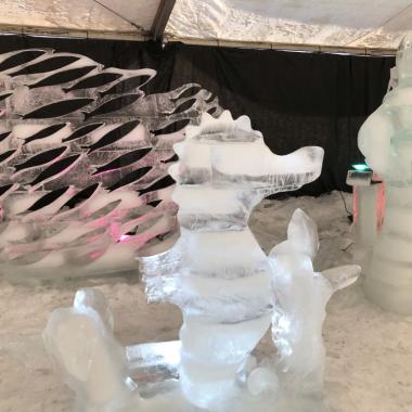 Pustevny - výstava ledových soch - 3. B, 3. D